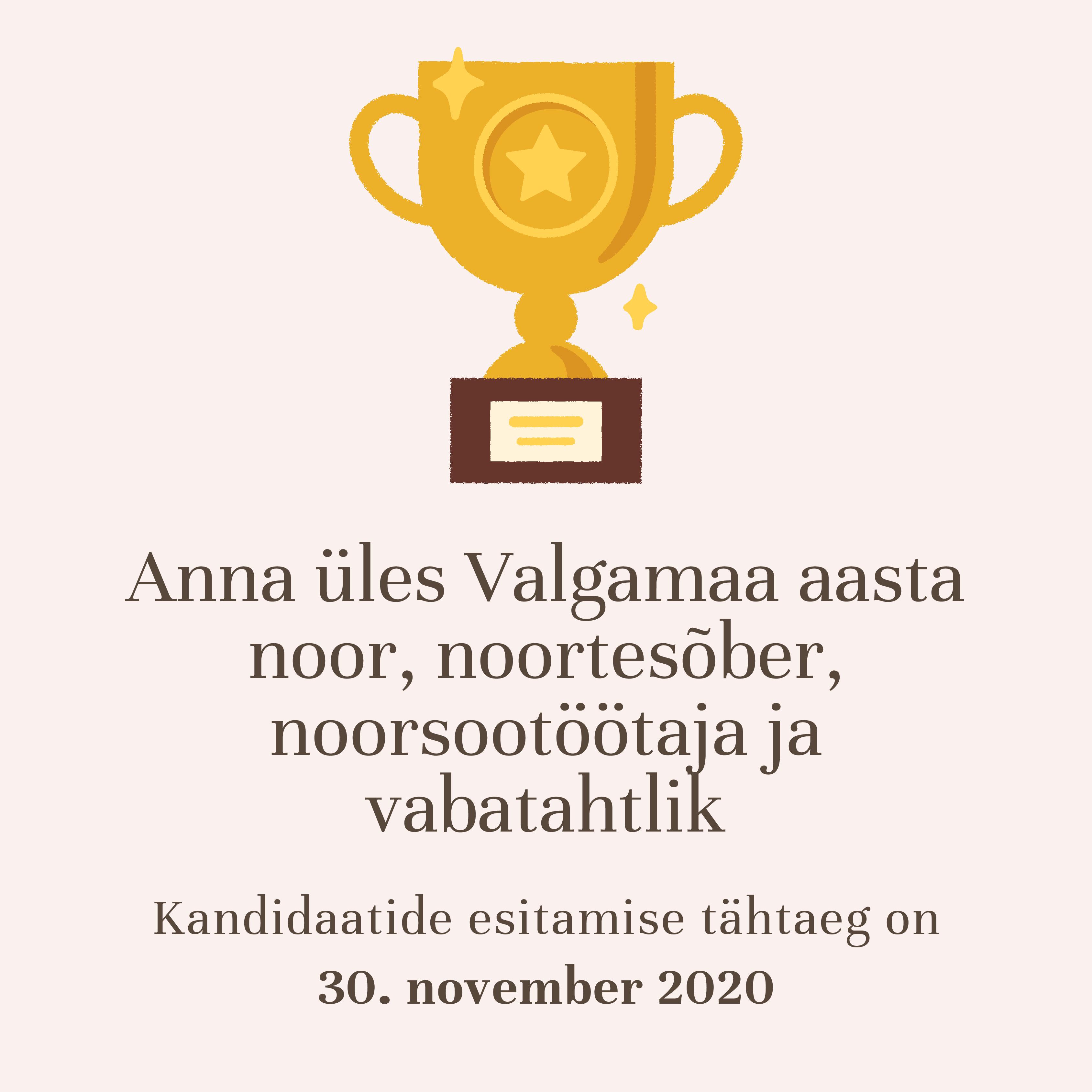 Anna üles Valgamaa aasta noor, noortesõber, noorsootöötaja ja vabatahtlik