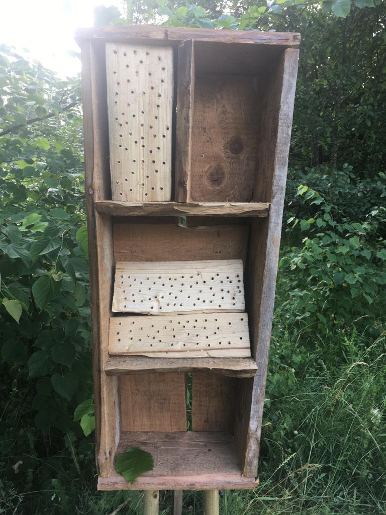 insect hotel